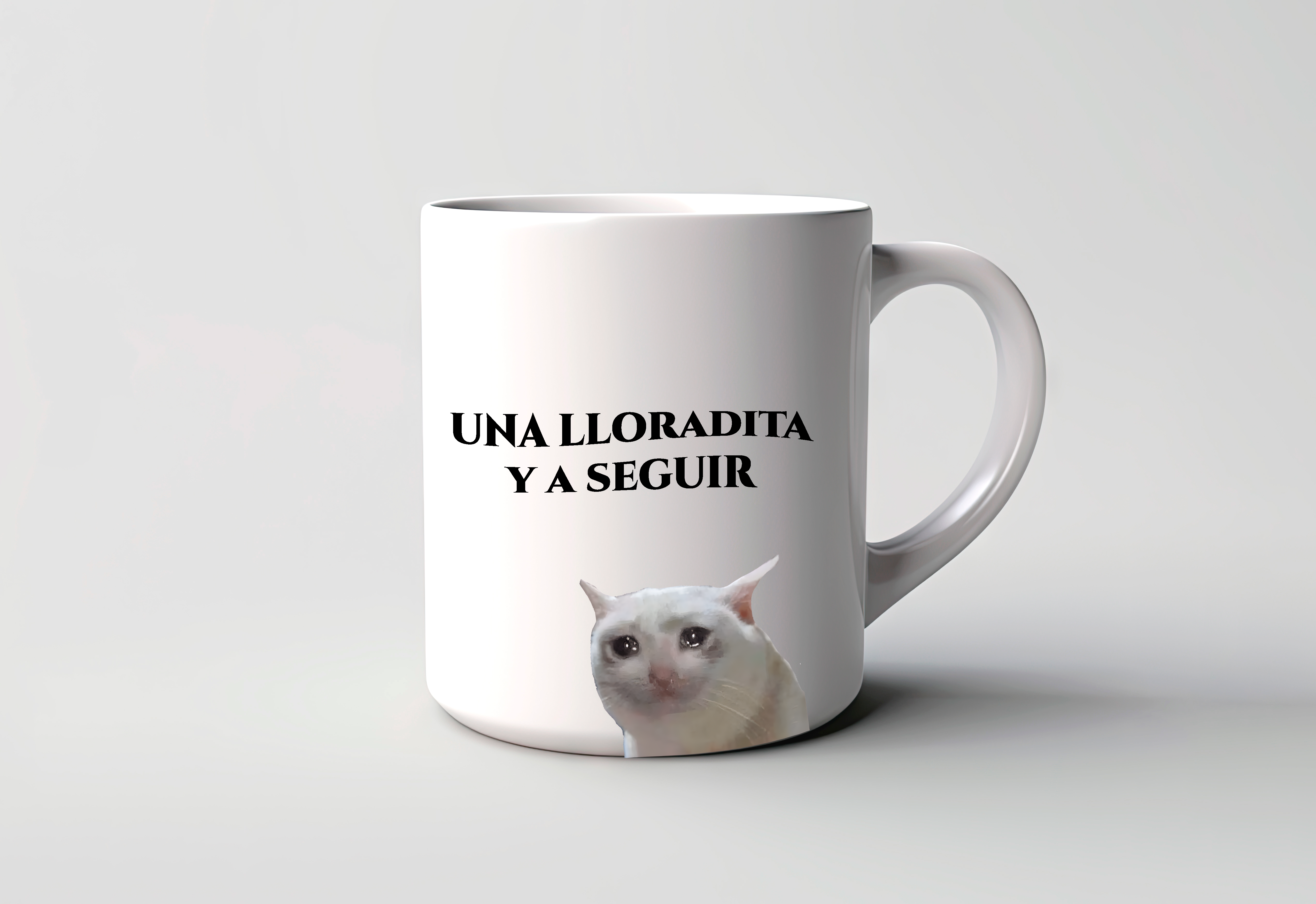 Taza Viral Una Lloradita y a Seguir Resiliencia